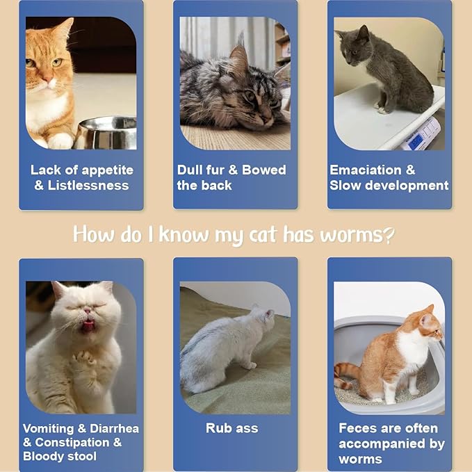 Flea Collar for Cats, Flea and Tick Collars for Kittens, Flea & Tick Treatment Prevention, Natural Essential Oil, 2 Pack, 16 Months Protection, One Size Fits All, Waterproof-Mewly Pet