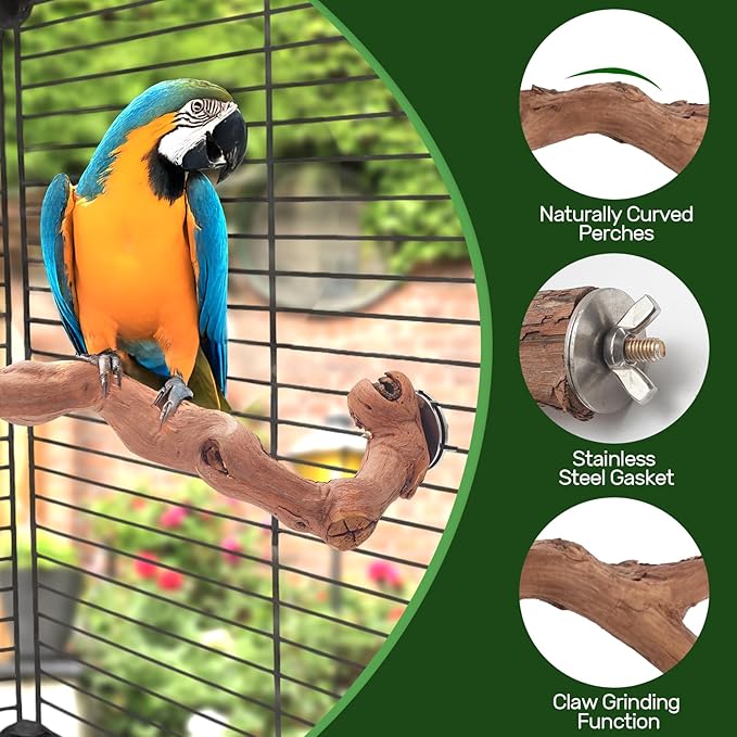 6-Piece Premium Bird Perch Stand with Natural Grape Wood Branch, Paw Grinding Fork, Chewing Stick, Cage Accessories for Parakeets, Budgies, Cockatiels, Finches, Lovebirds-Mewly Pet