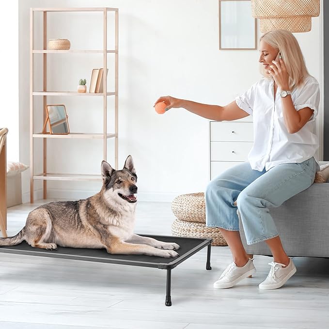 Veehoo Chewproof Elevated Dog Bed - Cooling Raised Pet Cot, Breathable Mesh, Washable & Non-Slip for Large Dogs, Indoor/Outdoor, Black Mat and Black Frame, 49x33inches (Model CWC2203A03)-Mewly Pet