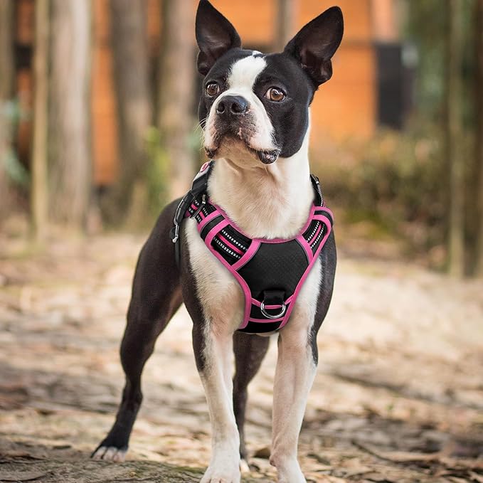 rabbitgoo Dog Harness Small Sized, No Pull Dog Vest with 3 Buckles, Adjustable Soft Padded Pet Harness with Easy Control Handle and Reflective Strips, Black & Rose Pink, S-Mewly Pet