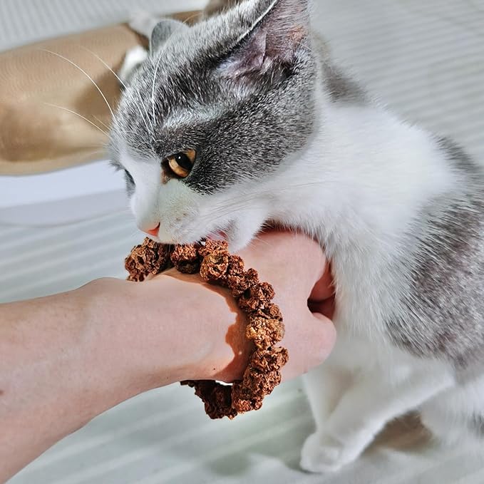 Natural Silvervine Gall Fruit Cat-Attracting Bracelet,Interactive Cat Toy for Relaxing and Teething, Catnip Alternative (Small Gall Fruit)-Mewly Pet