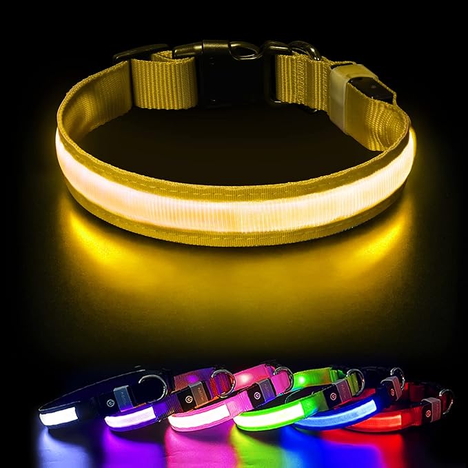 PcEoTllar Light up Dog Collar for Night Walking - LED Dog Collar Light Rechargeable Color Changing, Glow in The Dark Dog Collars Waterproof Glowing Dog Collars for Large Small Medium Dogs-Mewly Pet