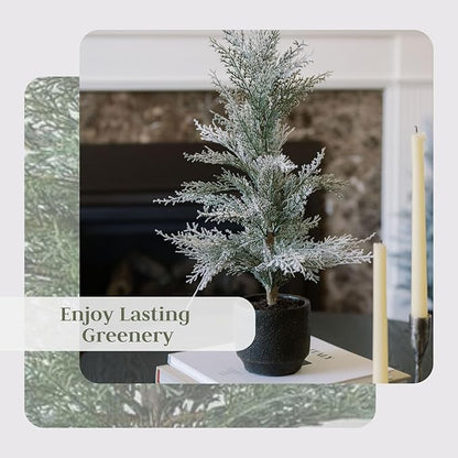 CG Hunter Holiday Collection, Set-of-2 Faux Flocked Cedar Trees, Premium Artificial Indoor & Outdoor Cedar Tree Stands 24" Tall in Pot–Perfect Christmas Decoration