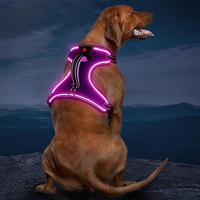 Light Up Dog Harness, No Pull LED Dog Harness with Handle, Rechargeable Lighted Safety Vest for Small Medium Large Dogs, Adjustable Soft Dog Lights for Night Walking-Mewly Pet