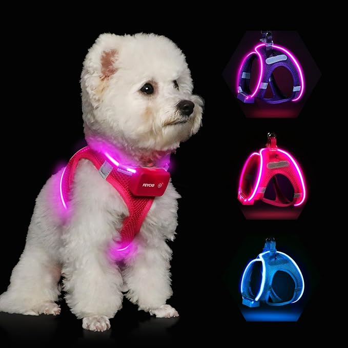 Light Up Dog Harness,Rechargeable LED Dog Harness for Small Medium Large Dogs,Reflective Lighted Safety Vest for Night Walking & Camping,Lightweight & Adjustable,Pink,M-Mewly Pet