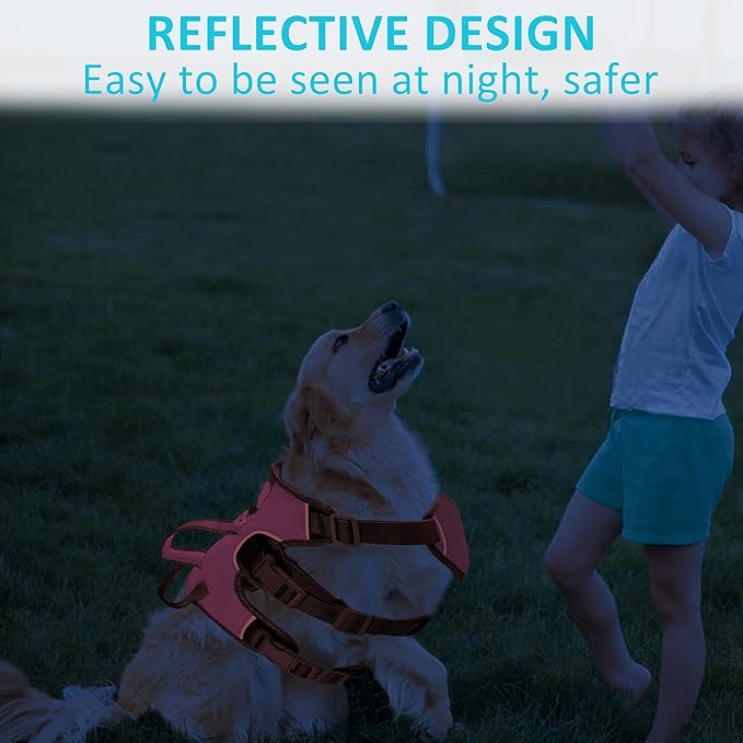 Escape Proof Dog Harness, No Pull Reflective Adjustable Vest with Easy Control Lift Handle, No Choke Soft Padded Breathable Full Body Pet Harness for Walking Hiking and Training (Pink, Small)-Mewly Pet