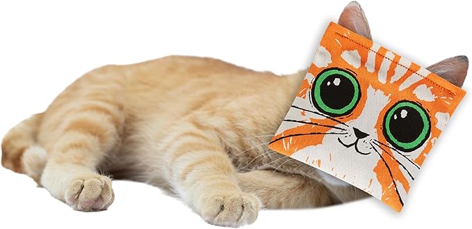 Blue Q Kitty's First Bong Rip Catnip Cat Toy. Premium Organic Catnip Grown in The USA, 100% Cotton Pouches, Kitty Graphics Sure to Delight Every Cat-Keeper.-Mewly Pet