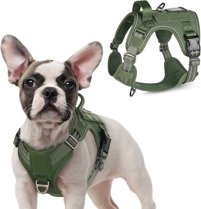 rabbitgoo Tactical Dog Harness for Small Dogs, No Pull Military Service Vest with Handle & Molle, Easy Control for Training Walking, Adjustable Reflective Straps, Green, S-Mewly Pet