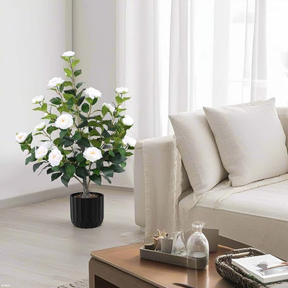 Hananona 2 Pcs Artificial Camellia Trees Faux Camellia Plant in Pot with Flowers Indoor Plants for Spring Home Decor Outdoor Porch Front Door Decor (White, M)