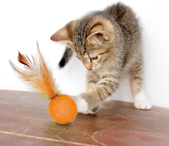 PET SHOW 10 Pack Cat Toys - Woolen Yarn Cat Balls, Interactive Mesh Feather Ball, String Toy for Indoor Cats, Chase Training Activity for Kittens-Mewly Pet