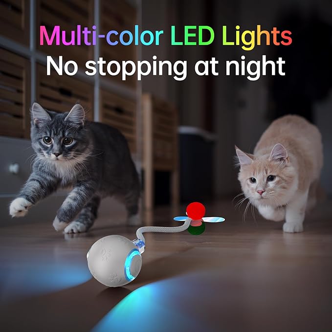 Interactive Cat Toys for Indoor Cats - Kitten Toy with Speedy Tail 2.0, Automatic Cat Toys for Bored Indoor Adult Cats, Motion-Activated, 2025 New Upgraded, USB Rechargeable (Grey)-Mewly Pet