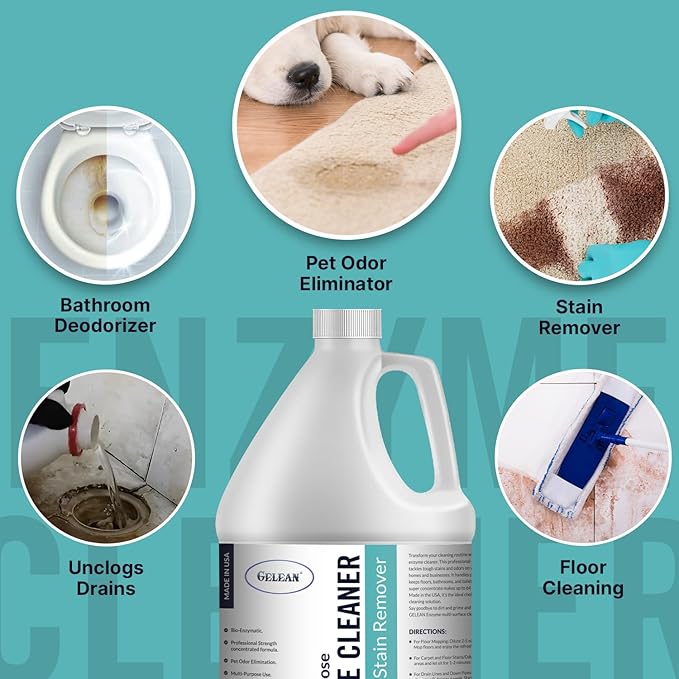 Multi-Purpose Probiotic Enzyme Cleaner, Made in USA - Pet Stain and Odor Remover - Concentrated - Professional & Home Strength Drains, Floors, Bathrooms, Toilets Trash Can, (1 gallon, Fresh fragrance)-Mewly Pet