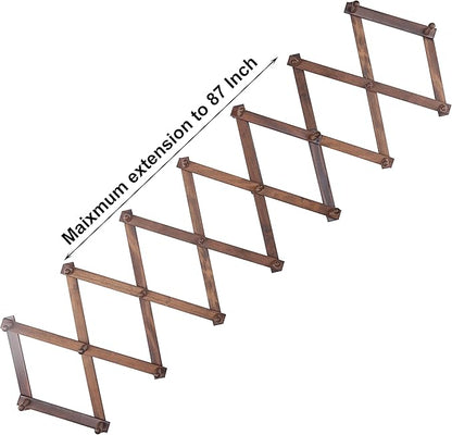 SKOLOO Accordion Wall Hanger with 22 Hooks, Modern Expandable Coat Rack Hat Rack for Wall, Solid Wooden, Walnut Color