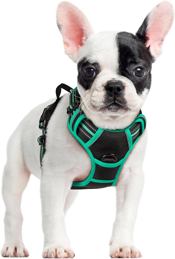 rabbitgoo Dog Harness No Pull with 2 Leash Clips, Adjustable Soft Padded, Reflective Oxford No Choke Pet Vest with Easy Control Handle for Small Dogs, Black & Turquoise, S-Mewly Pet
