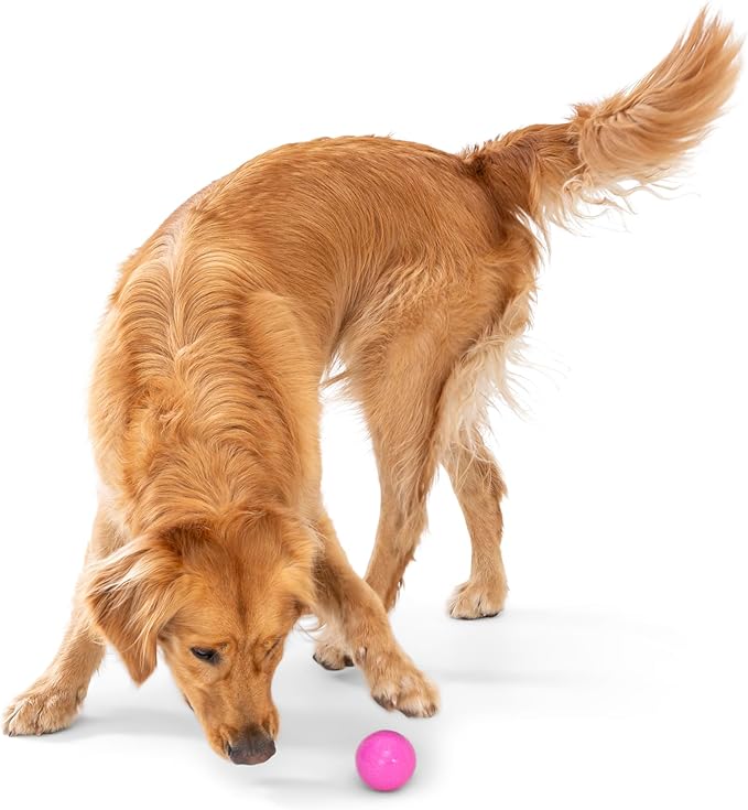 WEST PAW Boundr Ball Dog Fetch Toy – Bouncing Toys for Dogs, Fetch, Catch, Chewing, Play – Floatable, Recyclable Balls – Small Dandelion Yellow/Hot Pink 2-Pack-Mewly Pet
