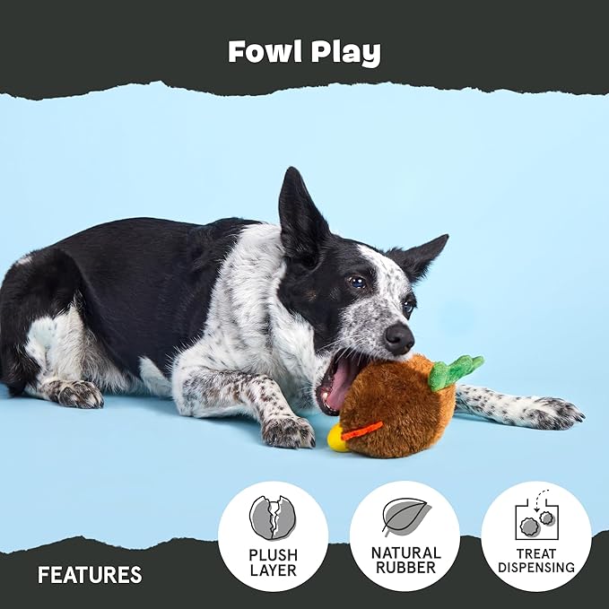 Barkbox Fowl Play Treat Dispensing Hard Core Plush Toy for Aggressive Chewers - Large-Mewly Pet