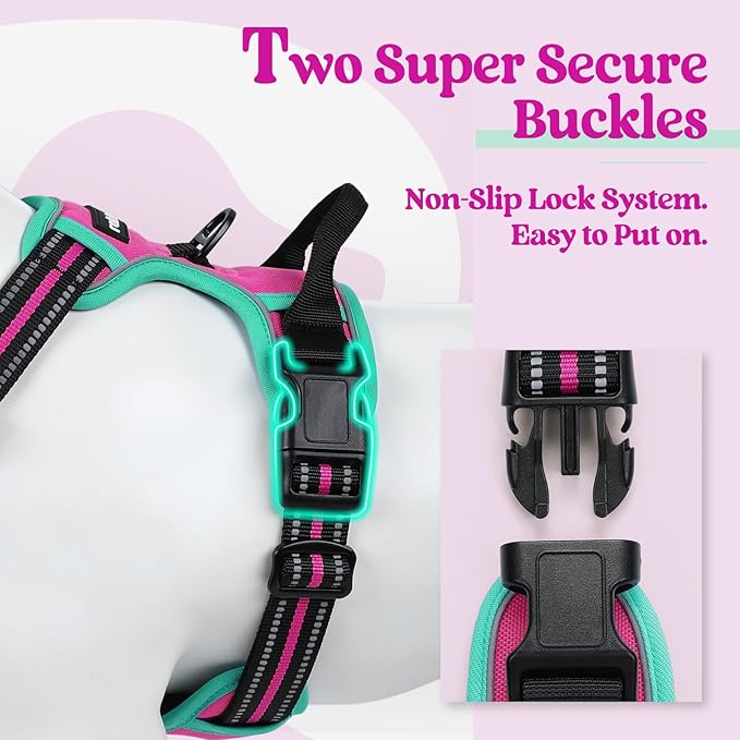 rabbitgoo Dog Harness No Pull with 2 Leash Clips, Adjustable Soft Padded, Reflective Oxford No Choke Pet Vest with Easy Control Handle for Large Dogs, Hot Pink & Turquoise, S-Mewly Pet