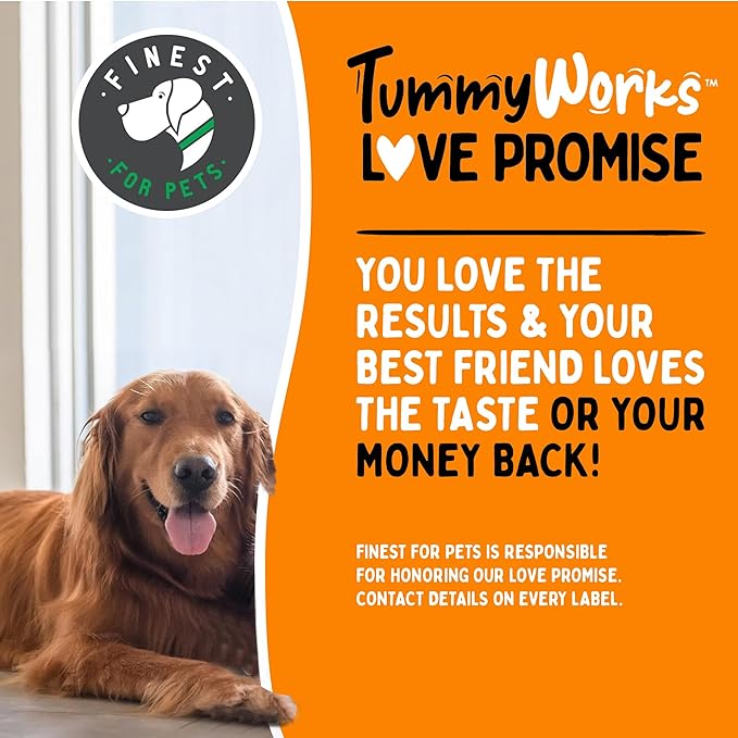 TummyWorks Probiotic 120 Soft Chews for Dogs All Ages - Supports Digestive Health, Relieves Diarrhea, Constipation, Good for Itching, Allergies, Yeast Infections. Added Digestive Enzymes, Made in USA-Mewly Pet