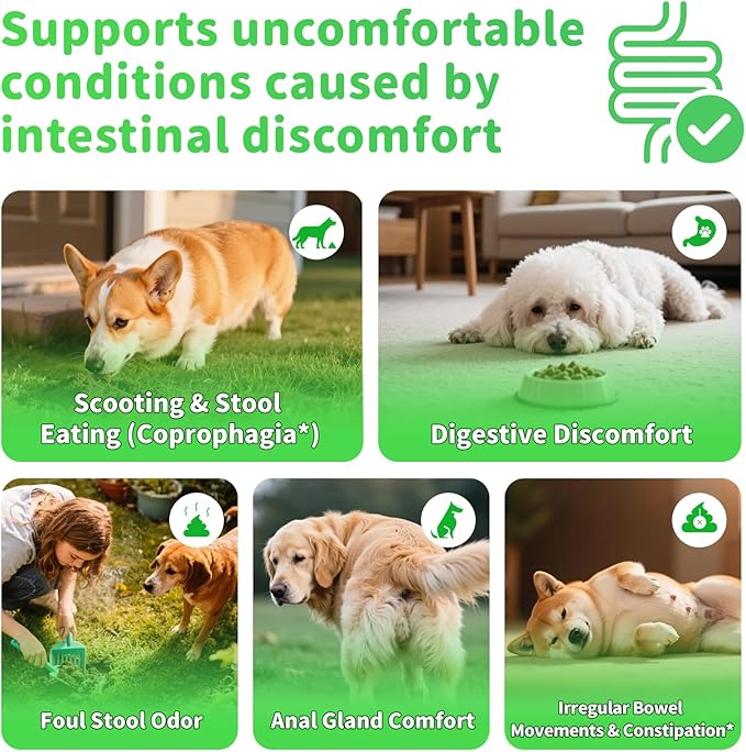 Premium Dog Digestive Enzymes and Probiotics with Pumpkin for Gut Health Support - Daily Chews for Digestion & Gas Relief - Chicken Flavor-90 Count-Mewly Pet