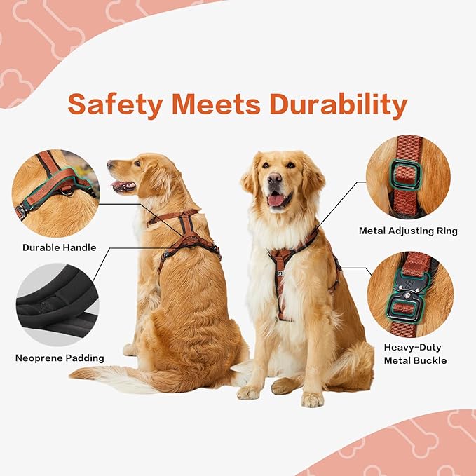 CLEPAWS Dog Harness for Large Dogs, No Pull Dog Harness Easy Walk with Metal Hardware, Ergonomic Y-Shaped Design, Soft Padding, Padded Handle, Durable High-Tensile Nylon (Canyon Red, L)-Mewly Pet