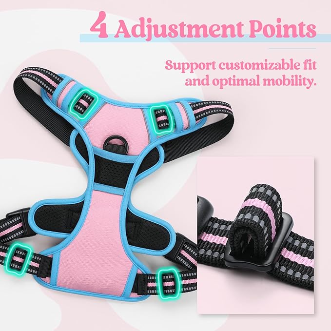 rabbitgoo Dog Harness No Pull with 2 Leash Clips, Adjustable Soft Padded, Reflective Oxford No Choke Pet Vest with Easy Control Handle for Small Dogs, Pink & Blue, S-Mewly Pet