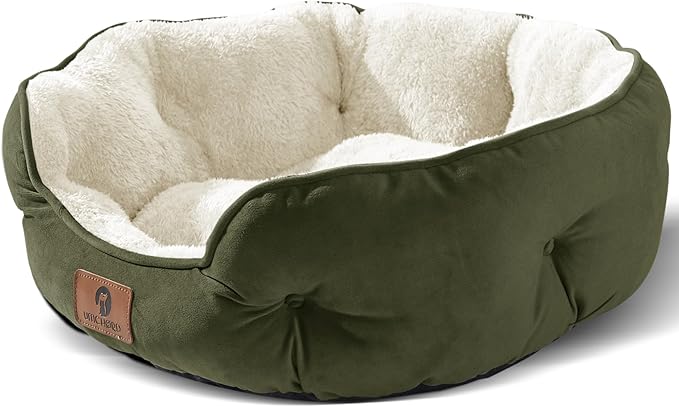 Asvin Small Dog Bed for Small Dogs, Cat Beds for Indoor Cats, Pet Bed for Puppy and Kitty, Extra Soft & Machine Washable with Anti-Slip & Water-Resistant Oxford Bottom, Green, 20 inches-Mewly Pet
