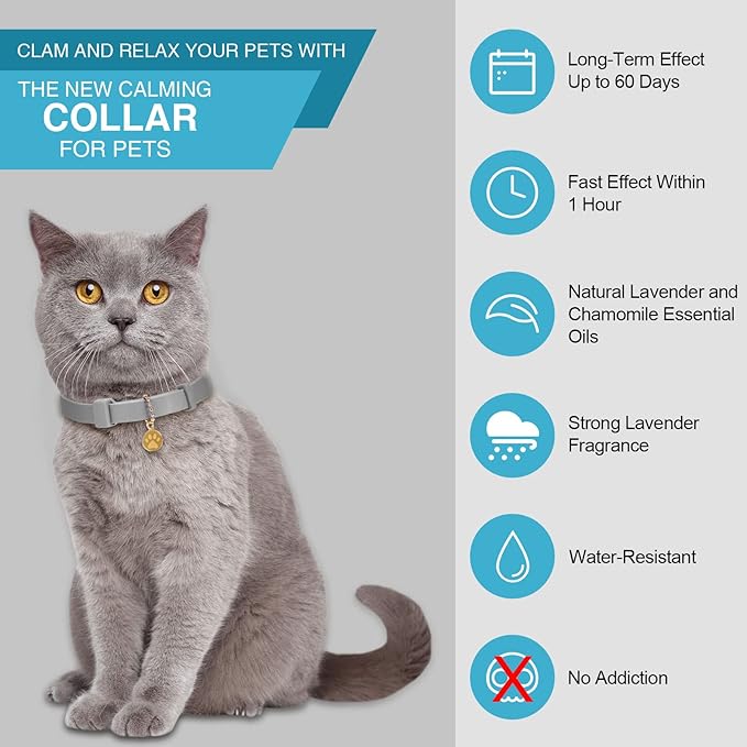 4 Pcs Cat Calming Collar Adjustable Lavender Scent Relaxing Cat Collar with 2 Pendant for Puppies Reduce Stress Aggression Anxious, up to 15 Inches(Grey, Silver)-Mewly Pet