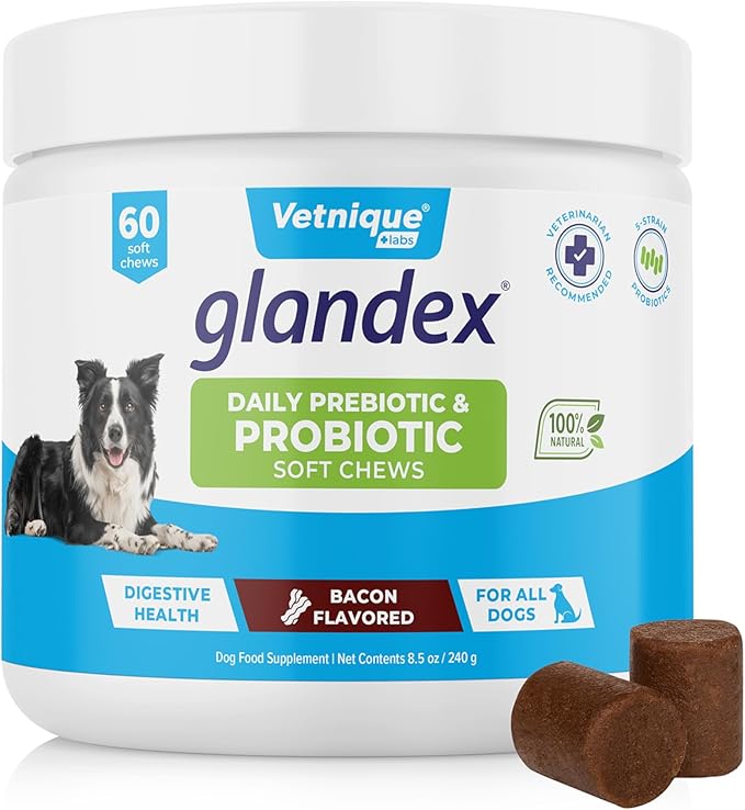 Vetnique Glandex Daily Probiotics for Dogs with Prebiotics to Support Gut Health with Fiber and Digestive Enzymes, Probiotic Chews or Powders (60ct Chews, Bacon Chews)-Mewly Pet
