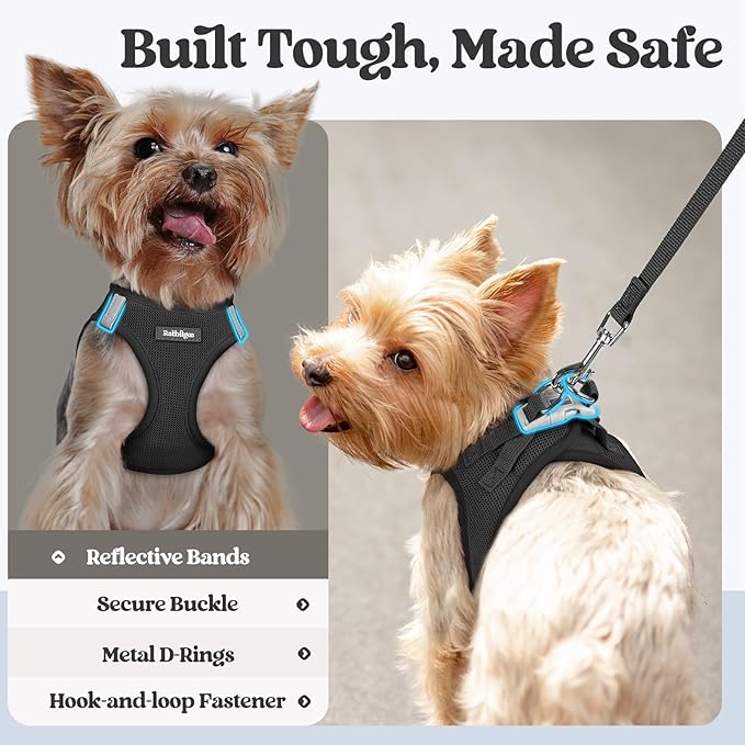 rabbitgoo Dog Harness Small Sized and Leash Set, Step in Soft Light Puppy Vest, Breathable Mesh Pet Harness, Reflective for Safe Easy Walking, Black M-Mewly Pet