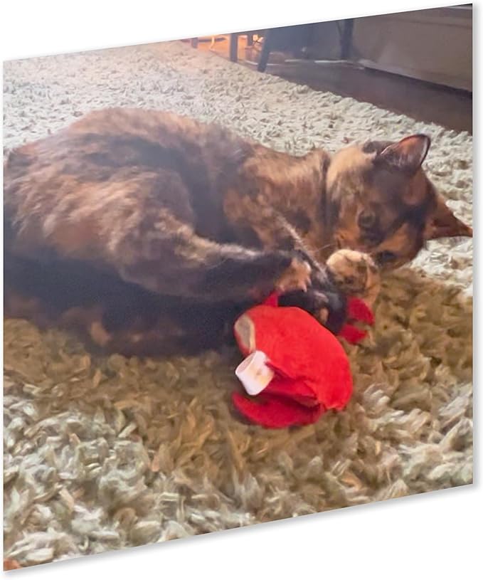 ZOOMIE Crab - Refillable Catnip Toy + Catnip | High Potency Hand Harvested Fresh | Soft Plush for Engaging Play-Mewly Pet