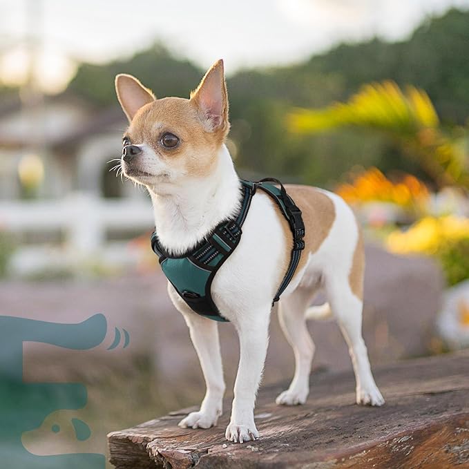 Eagloo Small Dog Harness No Pull, Service Vest with Reflective Strips and Control Handle, Adjustable and Comfortable for Walking, No Choke Pet Harness with 2 Metal Rings, Dark Green, XS-Mewly Pet