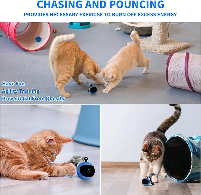 Interactive Cat Toy Ball with Remote Control, Automatic Moving & Rolling Cat Feather Toy, USB Rechargeable, Motion Activated Remote Control Cat Toy for Indoor Cats (Blue)-Mewly Pet
