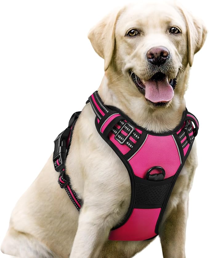 rabbitgoo Dog Harness No Pull with 2 Leash Clips, Adjustable Soft Padded, Reflective Oxford No Choke Pet Vest with Easy Control Handle for Large Dogs, Hot Pink, L-Mewly Pet
