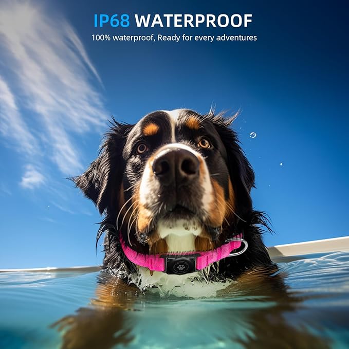 Reflective Air Tag Dog Collar - 100% Waterproof Dog Collar AirTag Holder | Extra-Durable, Soft Padded AirTag Dog Collars for Small Medium Large Dogs-Mewly Pet