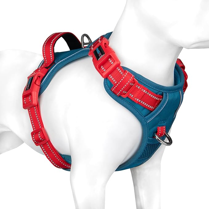 PHOEPET No Pull Dog Harness, Unique Colors Reflective Adjustable Dog Vest, with Soft Training Handle Metal Clips for Small Medium Large Dogs (Teal Base & Red Straps,M)-Mewly Pet