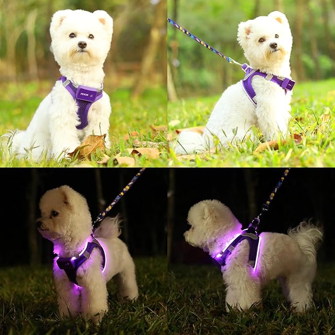 Light Up Dog Harness,Rechargeable LED Dog Harness for Small Medium Large Dogs,Reflective Lighted Safety Vest for Night Walking & Camping,Lightweight & Adjustable,Purple,S-Mewly Pet