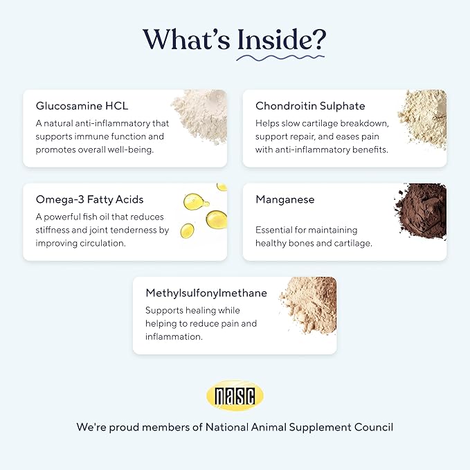 Pawfy Hip & Joint Supplement for Dogs with MSM & Vitamins | Glucosamine Chondroitin for Small, Medium & Large Breed - Supports Mobility & Bones | Glucosamine for Dogs with Omega 3-30 Chews-Mewly Pet