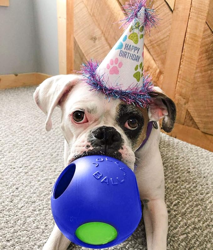 Jolly Pets Teaser Ball Dog Toy, Medium/6 Inches, Blue, 6-Inch Teaser Ball, Blue-Mewly Pet