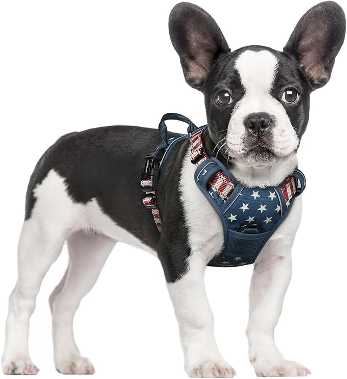rabbitgoo Dog Harness No Pull with 2 Leash Clips, Adjustable Soft Padded, Reflective Oxford No Choke Pet Vest with Easy Control Handle for Large Dogs, Blue Star, S-Mewly Pet