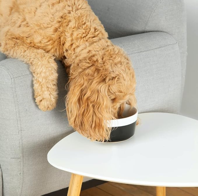 Waggo Dipper Ceramic Dog Bowl for Small and Large Breeds - Heavyweight and Durable Pet Food and Water Dish Crock, Dishwasher Safe, Modern (Black, Medium)-Mewly Pet