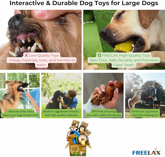 Durable Dog Chew Toys Gift Box – Eco-Friendly Teething Toys for Aggressive Chewers, Plush & Squeaky Toys, Toothbrush, Ideal Gift Basket for Medium & Large Dogs-Mewly Pet