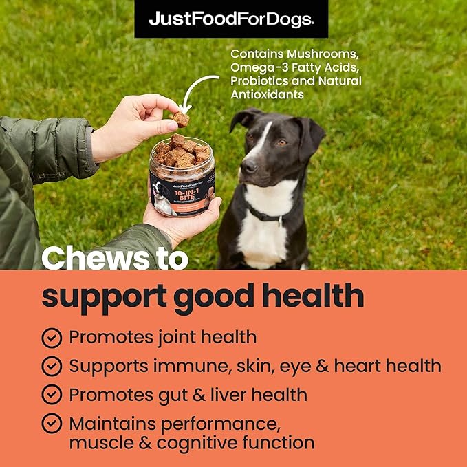 JustFoodForDogs 10-in-1 Multifunctional Supplement Chews for Dogs, Superfood Blend, Glucosamine, Omega-3 Fatty Acids, Skin Health, Joint Health, Probiotics, Plant-Based, Human Grade - 45 Count-Mewly Pet