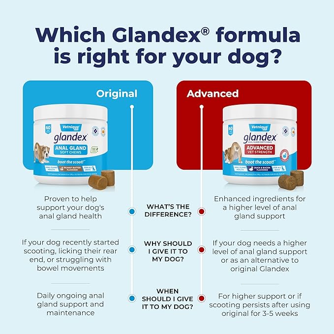 Vetnique Glandex Anal Gland Soft Chew Treats with Pumpkin for Dogs Digestive Enzymes, Probiotics Fiber Supplement for Dogs Boot The Scoot (Advanced Strength Duck/Bacon Chews (Vegetarian), 60 Ct)-Mewly Pet