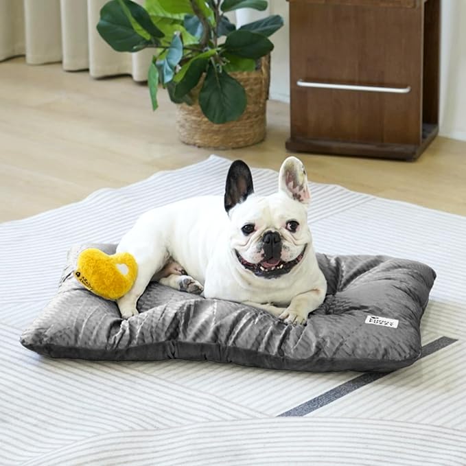 FUNNY FUZZY 30x20 Washable Dog Bed Crate Mat, 2 in1 Pet Pillow Sleeping Bed, Fluffy Deluxe Kennel Mattress for Medium Dog and Cat,Charcoal Grey,M-Mewly Pet