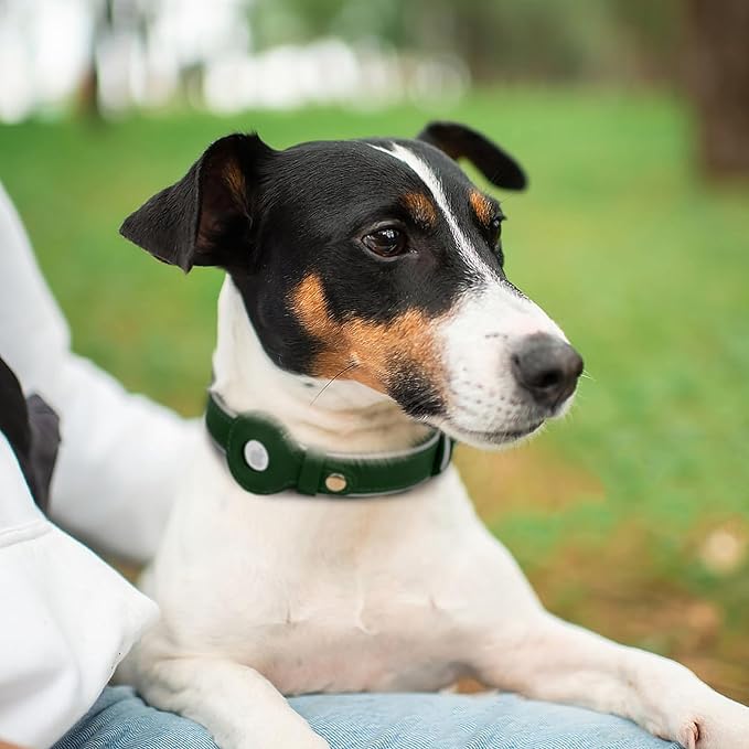 OOPSDOGGY Reflective Geniune Leather Airtag Dog Collar Soft Padded Collars for Small Medium Large Breed Dogs Puppy, 4 Sizes, 7 Colors (Green, Large, 15"-19")-Mewly Pet