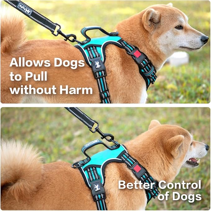 PoyPet No Pull Dog Harness, No Choke Front Clip Reflective Dog Vest with Soft Padded Vertical Handle, 3 Leash Attachments for Small Medium Large Dogs (Mint Blue,M)-Mewly Pet