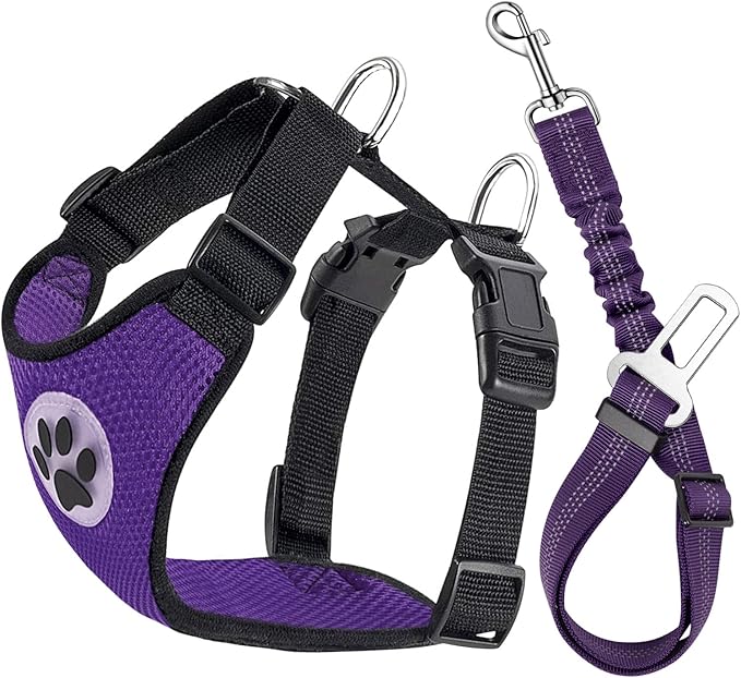 Lukovee Dog Seat Belt for Car, Adjustable Dog Car Harness for Large Medium Small Dogs, Soft Padded & Breathable Mesh Dog Seatbelt with Car Vehicle Connector Strap (Purple,XX-Small)-Mewly Pet