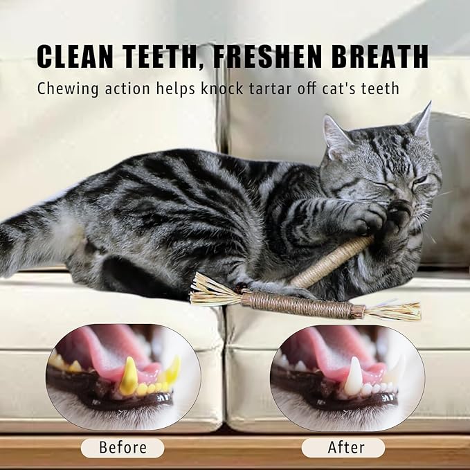 Pet Hair Removal Glove for Furniture, Carpet, Clothes and Car Seats, Electrostatic Cat & Dog Hair Removal Tool, Eco-Friendly Reusable Pet Hair Remover Glove with Silvervine Sticks (2 Gloves & 1 Stick)-Mewly Pet