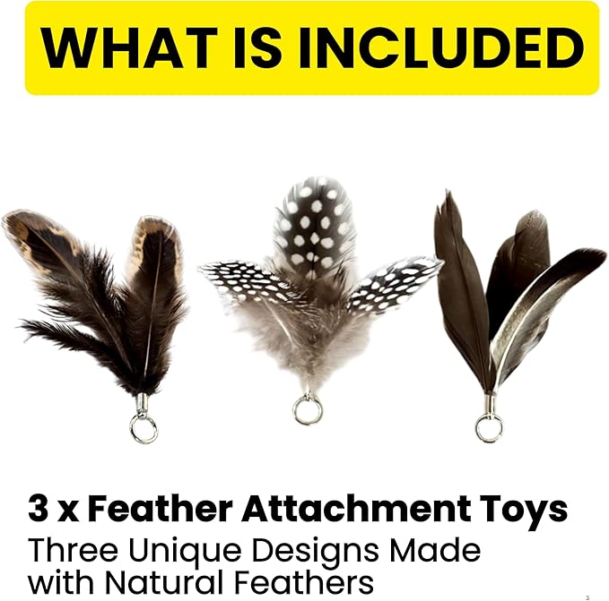 Feather Toys Replacements (3 Pc) - Cat Toys & Kitten Toys for Indoor Kittens, Set of Replacement Feather Attachments Extra Small and Durable, for Cat Wands, Natural and Safe-Mewly Pet