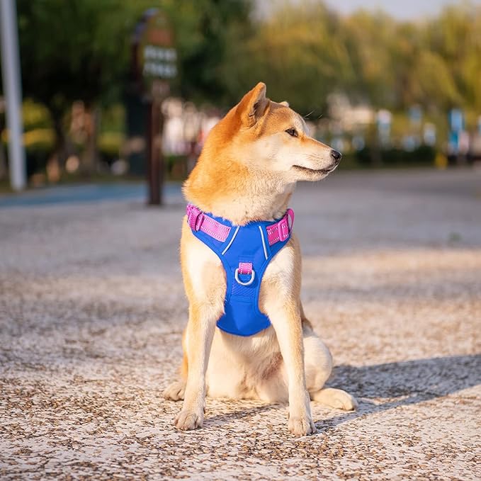PHOEPET No Pull Dog Harness, Unique Colors Reflective Adjustable Dog Vest, with Soft Training Handle Metal Clips for Small Medium Large Dogs (Royal Blue Base & Pink Straps,XL)-Mewly Pet